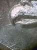 1883-CC #4.jpg