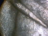cpm_1878S_UAV_OBV_Eye_Gouge.jpg