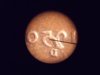 DSCF8007.JPG