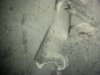 DPH VAM79 Nose.jpg