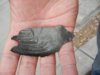 DSCN5727.JPG