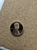 20250214_072935.jpg