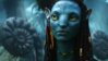 avatar-11.jpg