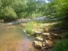 dredge pool creek.jpg