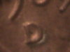 DSC00028.JPG