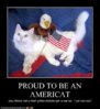 americat.jpg