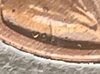 IMG_0877.jpeg