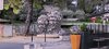 upload_2025-4-25_17-28-38.jpeg