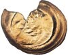 2000-1-sacagawea-dollar-obverse-capped-die-ms66-ngc2a.jpg