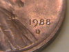 DSC00050.JPG