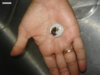 APSF_07_6_image_03_full.jpg