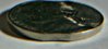 81-p bottom clip.jpg