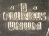 close up 2.jpg