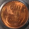 1946-D PCGS  R.JPG