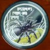 funnel web 007.jpg