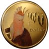 cockato_1.jpg