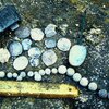tfl-l-Jupiter-Wreck-coins-and-artifacts.jpg