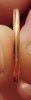 20250604_153343.jpg
