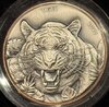 Tiger.jpg