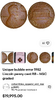 Screenshot_20250614-140521.png