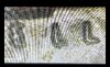 IMG_3874.jpeg