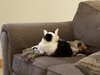 IMG_0321.jpeg