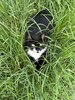 IMG_1960.jpeg