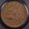 flying eagle cent 1857 obv.jpg