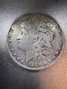 Dollar 1.jpg