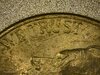 Obverse Trust.jpg