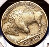 three legged buffalo nickel.jpg