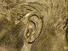 Ear Cud.jpg