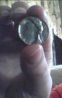COIN.jpg