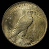 1923_Peace_Dollar_NGC_MS64_Toned_stripe_rev.jpg