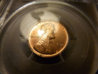 1910sObv.jpg