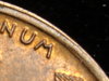 1927D wheat rimshots 005.JPG