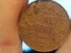 penny1.jpg
