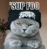 lolgato-funny_cat_pictures_174.jpg
