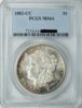 1882_CC_PCGS64_Obv_Public.jpg