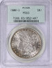 1896719-1.jpg