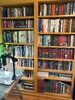 books_1.jpg