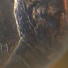 IMG_6392.jpeg