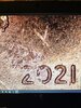 IMG_1583.jpeg