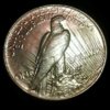 $(KGrHqV,!q8E+0T51Nc5BQBjrUg,fw~~60_1.jpg