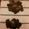 indian head pennies.jpg