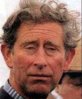 princecharles2.jpg