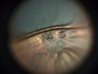 DSCF2153.jpg