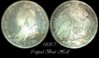 1808cbhvg.jpg
