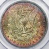 1904orev.jpg