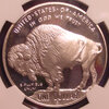 2001 Buffalo Dollar R.jpg